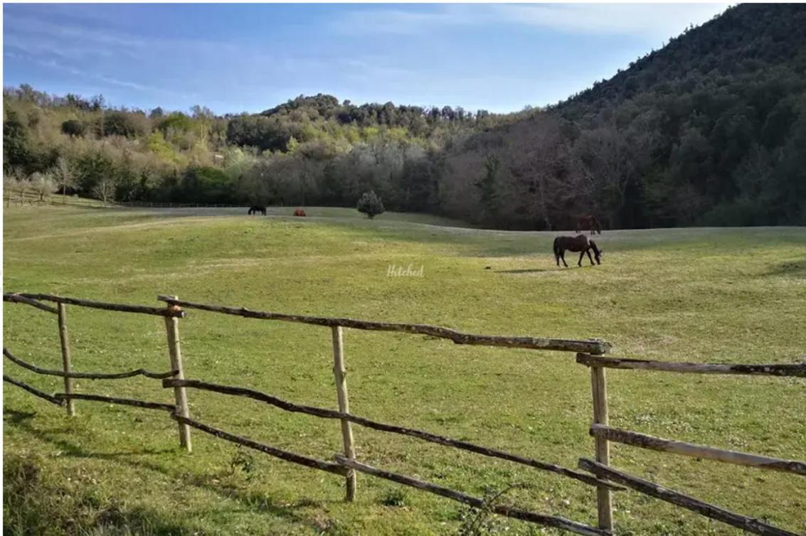 Agriturismo La Fonte Perugia Ngoại thất bức ảnh