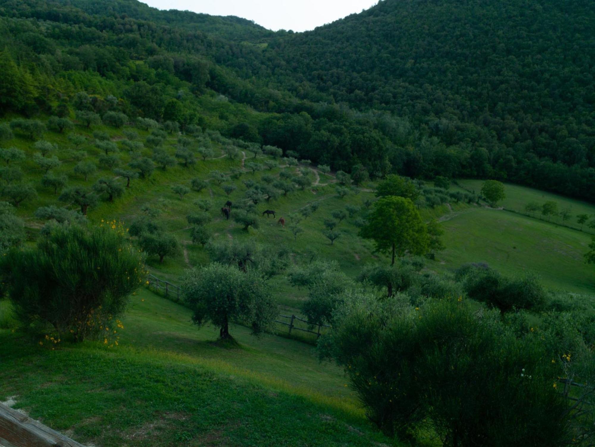 Agriturismo La Fonte Perugia Ngoại thất bức ảnh