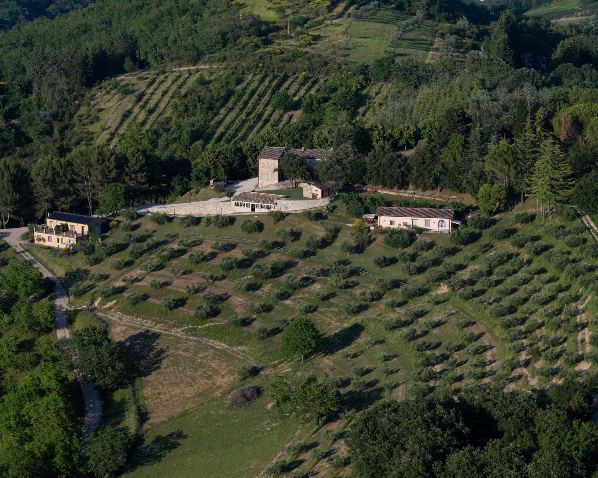 Agriturismo La Fonte Perugia Ngoại thất bức ảnh